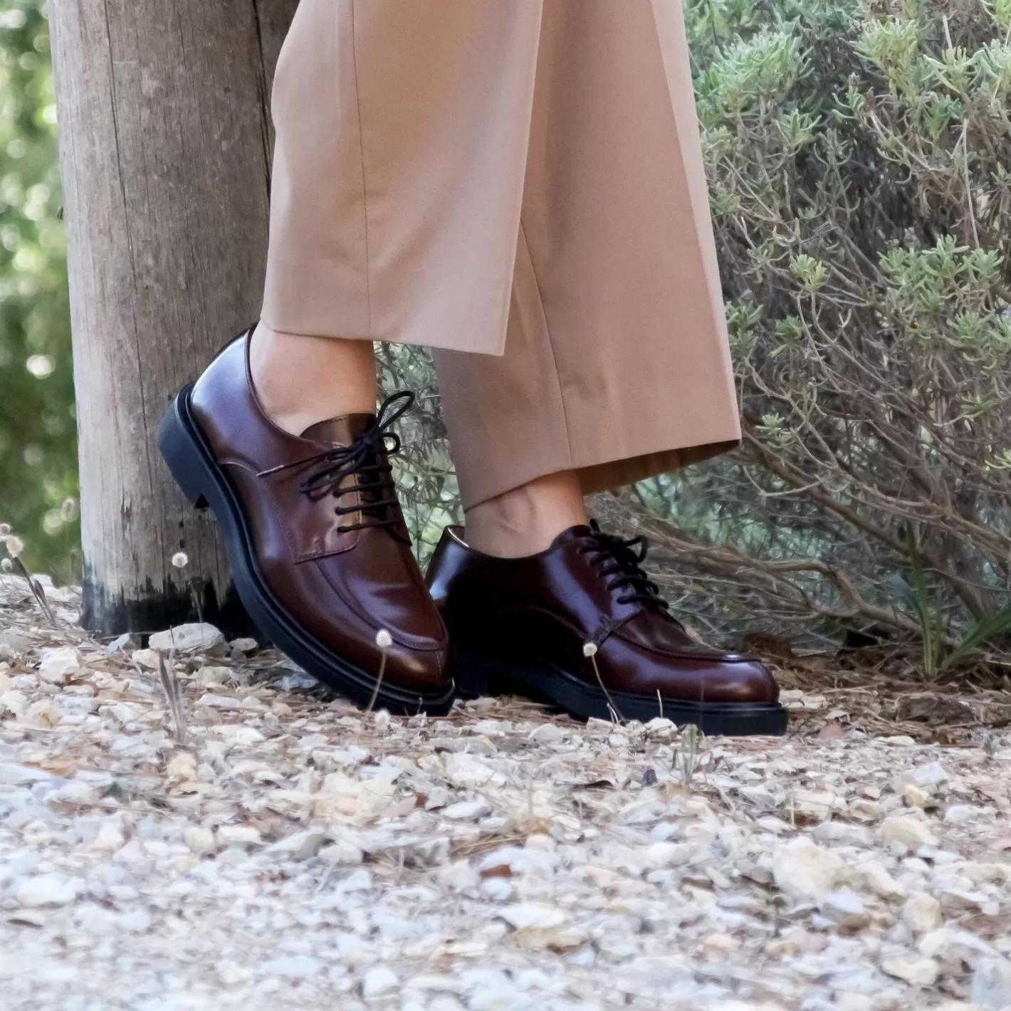 Mocassins & Derbies-JULES & JENN Derbies Cuir Brillant Cognac